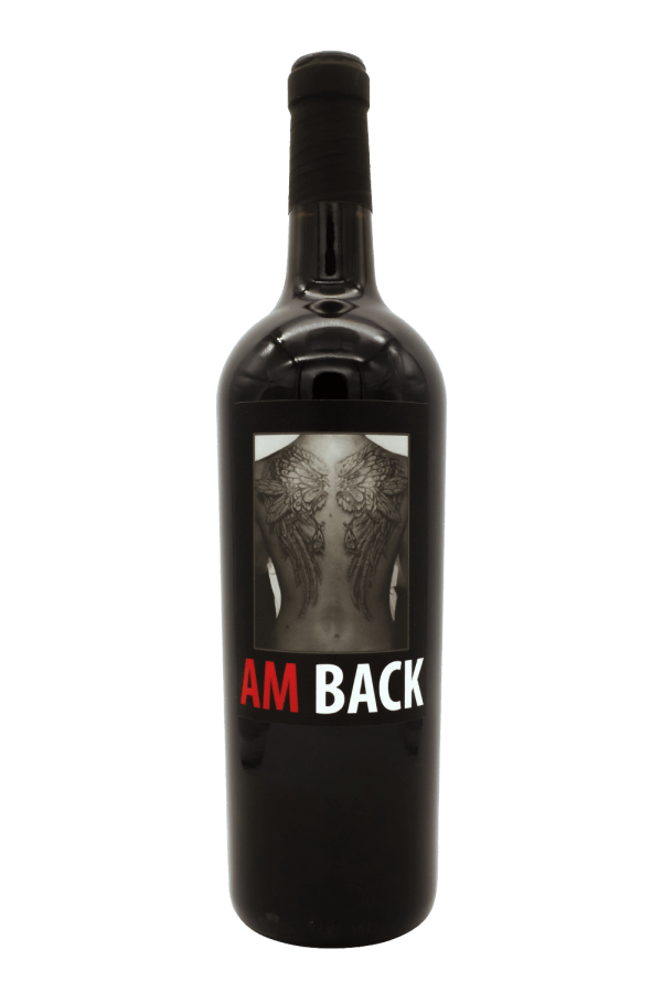 Am-Back-2.png
